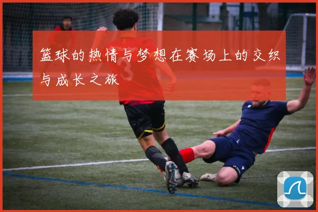 篮球的热情与梦想在赛场上的交织与成长之旅