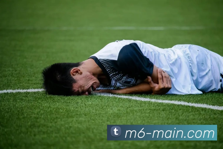 米乐体育平台APP 高清赛事图